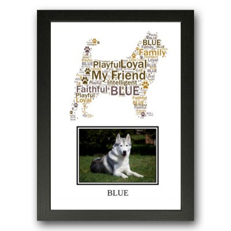 Siberian Husky Photo Print Gift